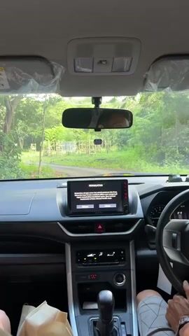 The video shows a person driving a car with a touchscreen display showing an Indonesian language warning. The focus shifts to the car's rearview mirror and then to the view outside the windshield where a large monitor lizard walks through a grassy area beside the road.