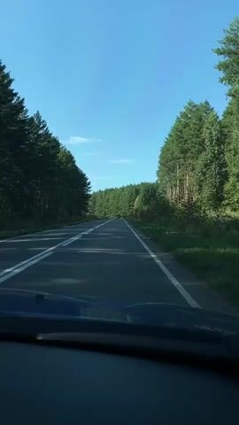 A first-person perspective video shows a car driving on a paved road flanked by a dense forest of tall green trees on a clear day with a blue sky. The car's dashboard is visible in the foreground, and the road ahead is marked with white lines. Sunlight filters through the trees, casting shadows on the road.
