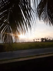 Rural life in Kutaglumpang: paddies, motorbikes, and storm skies