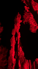 Red-lit forest path draws nighttime visitors in Montanejos