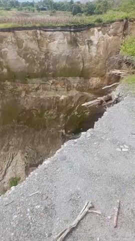 A video captures a steep, eroded cliff face, likely a canyon or ravine. The cliff is composed of layered earth and rock, with patches of green moss or vegetation clinging to its surface. The top of the cliff appears to be a field with some crops, suggesting agricultural activity in the vicinity. At the bottom of the ravine, a small body of water is visible, possibly a river or stream. The foreground shows loose gravel and some dead branches, indicating the edge of a path or the surrounding terrain. The camera moves slightly, offering different perspectives of the dramatic geological formation.