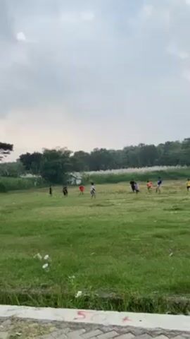 Here is a concise description of the video:

The video shows a soccer game taking place on a grassy field under a cloudy sky. Around ten children, wearing various colored shirts (blue, red, black, yellow), are playing. In the background, there is a line of trees and some tall reeds. The camera appears to be stationary, positioned at a distance from the field, offering a wide shot of the game in progress. A concrete barrier is visible in the foreground, just below the camera's point of view.