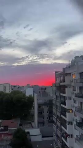 The video depicts a cityscape under a vivid, red-hued sky. The sky transitions from grey and cloudy above to a striking red glow near the horizon. Numerous buildings of varying heights fill the urban landscape, primarily in shades of white and grey. A dense, green tree is visible in the lower left. The video is a static shot, offering an expansive view of the city and its dramatic sky.