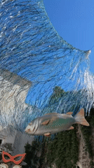 Silver net installation documented over sculpture in Budva
