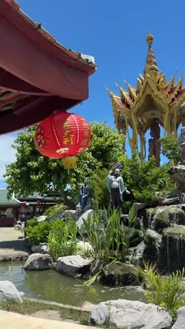The video shows a landscaped garden with a golden pagoda in the background, surrounded by various statues. In the foreground, there's a waterfall flowing into a pond with plants. A red lantern hangs from a building. The camera then pans to show more statues and a concrete area with lavender bushes. The sky is clear and blue.