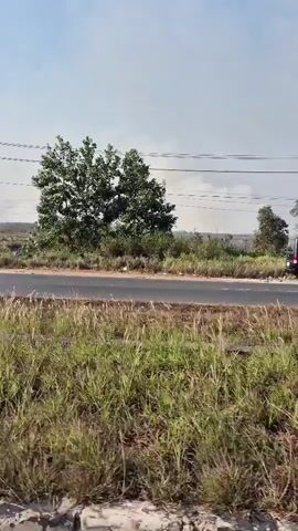 The video shows a roadside scene with a paved road running horizontally through the frame. On the left side of the road, there is tall, dry grass. Further back, beyond the road, there is more vegetation, including some trees and what appear to be utility poles with power lines. In the distance, a large transmission tower is visible. The sky is clear and bright. In one segment, a yellow truck drives past on the road, partially obscured by a tree. The camera appears to be moving, likely from a vehicle.