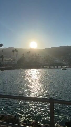 This is a vertical video of a sunlit bay with a shoreline featuring buildings and palm trees. The sun is prominent in the sky, casting a bright reflection on the rippling water. A metal railing is visible in the foreground, and rocky terrain lies beneath it. The scene appears to be a coastal town or resort.
