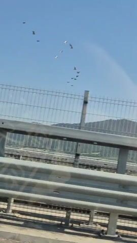 A video taken from a moving vehicle, likely a car, shows a flock of birds flying in formation against a clear blue sky. A metal guardrail is visible in the foreground, and beyond that, a road or highway with parallel tracks. In the distance, rolling hills covered in green foliage and trees are visible. The sun appears to be shining brightly. The video pans slightly to the right, revealing more of the landscape.