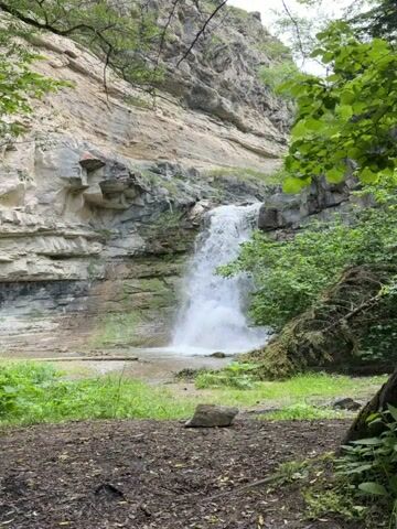 A scenic video captures a waterfall cascading down a rocky cliff face. The water plunges into a pool below, creating a misty spray. Lush green foliage surrounds the waterfall, with trees and moss-covered rocks adding to the natural beauty of the scene. The ground in the foreground is covered with dirt, leaves, and a few scattered rocks, suggesting a forest floor. The cliff face is composed of layered rock, with some areas appearing weathered and others more intact. The lighting suggests an overcast or shaded day, as there are no harsh shadows and the overall scene is softly illuminated. The video is a static shot, with no apparent movement of the camera or any subjects within the frame, except for the natural motion of the falling water.
