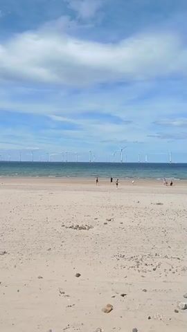 The video shows a beach with sand in the foreground and the ocean in the background. There are several people walking on the beach and in the shallow water. In the distance, an offshore wind farm is visible with many wind turbines. The sky is blue with some clouds. The overall scene is serene and peaceful.
