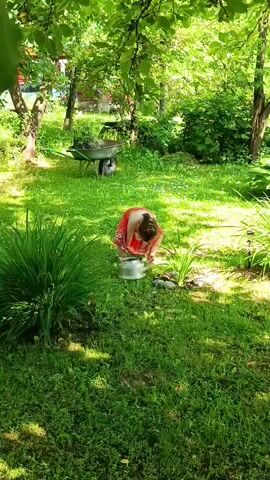 A person wearing a red garment is bending over a silver kettle in a lush green backyard. Sunlight filters through the trees, casting dappled shadows on the grass. A wheelbarrow filled with soil or mulch is visible in the background, along with various plants and shrubs. The person appears to be watering or tending to something near the kettle.