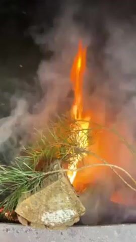 The video shows a small fire with a strong flame and thick smoke. The fire is burning a piece of wood, possibly pine branches, and some other debris. The surrounding area is grey.  The fire crackles.