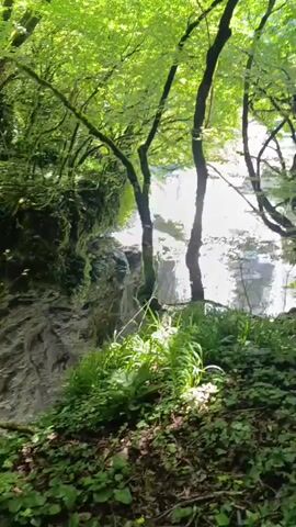 The video pans through a lush green forest. Trees with moss-covered branches create a dense canopy overhead, with sunlight filtering through. The terrain appears rugged, with rocky cliffs and dense undergrowth. In the distance, a waterfall cascades down a rocky chasm, its white water contrasting with the surrounding greenery. The atmosphere is serene and natural, emphasizing the beauty of the untamed wilderness.