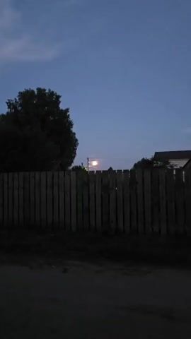 The video shows a full moon visible through a wooden fence at dusk. The moon is orange and partially obscured by clouds. A tree is visible on the left side of the frame, and power lines cross the sky. The fence is made of vertical wooden planks and is in the foreground. The sky is a deep blue.