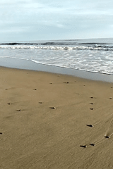 Morning beach scenes documented across Indonesian coastal villages