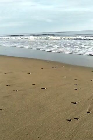 The video shows a beach with sand and small pebbles leading up to the ocean. The waves are small and foamy. The sky is overcast. There are no people visible.