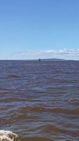 The video shows a body of water with choppy waves, likely from a boat or ship, as indicated by the white wake at the bottom of the frame. The sky is clear blue with a few scattered white clouds. In the distance, there is a landmass with buildings, trees, and what appears to be a hill or mountain. There are no people visible in the frame. The overall environment is a bright, sunny day on the water.