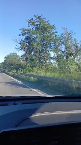 The video shows a view from inside a car driving down a road. The road is paved and appears to be a two-lane highway. On the left side of the road, there is a guardrail and a grassy embankment with trees. The sky is clear and blue. On the right side of the road, there are more trees and some fields in the distance. The dashboard of the car is visible in the foreground. The video is shaky, indicating that the car is in motion.