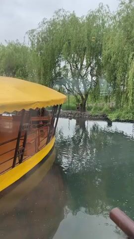 The video shows a small, still lake with various ducks and swans swimming. The water is green and reflective. Trees, mostly weeping willows, surround the lake. A yellow boat is docked at the edge of the lake. The weather appears cloudy and overcast. The video is shot from behind a window.