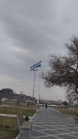 The video shows an urban park setting on a cloudy day. A large flag, presumably a national flag with blue, white, and green stripes, is waving in the wind atop a tall flagpole. To the right of the flag, a bare tree stands with its branches reaching towards the sky. A paved walkway with a geometric pattern stretches into the distance, where a person is walking away from the camera. Benches and trash receptacles are visible alongside the walkway. In the background, there are buildings and other trees, contributing to the overall urban landscape.