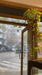 Rainy afternoon observed from indoors in Buenos Aires