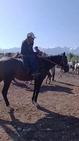 The video shows an outdoor scene, possibly a market or gathering, with several people and horses. In the foreground, a person wearing a dark long-sleeved shirt, dark pants, and a hat is standing and looking to the right. Next to them, another person in a dark shirt and hat is also present. To the left, a person is sitting on a dark-colored horse, wearing a cap and a dark jacket. This horse has a bridle and saddle. In the background, more horses, some white and some dark, are visible. Several other people are seen near the horses, some standing and some also mounted. The ground is dirt and gravel. Mountains are visible in the distance under a clear blue sky. The lighting suggests it is daytime.