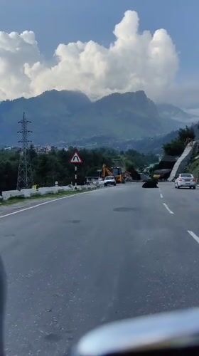 Cows block mountain road traffic in Kulang amid construction