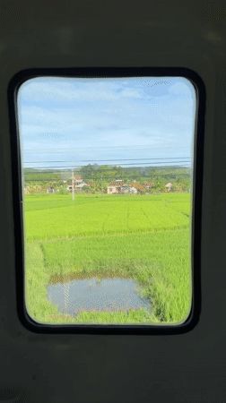 Train window views over green fields in rural central Vietnam