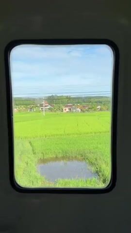 The video shows a view through a train window looking out at a lush green rice field under a partly cloudy blue sky. In the distance, there are a few houses and trees. A utility pole with wires is visible on the right side of the frame. The train appears to be moving, as indicated by the slight blur and the shifting perspective of the landscape. The lighting suggests it is daytime, possibly morning or late afternoon. The interior of the train, including the window frame and a bit of the wall, is visible in the foreground.