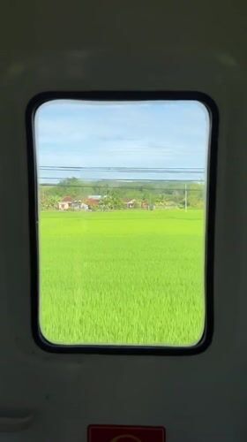 Train window views over green fields in rural central Vietnam