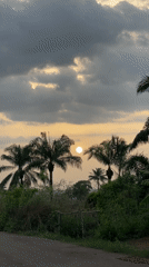 Sunset captured along palm-lined road in Agba Umana, Nigeria
