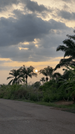 Sunset captured along palm-lined road in Agba Umana, Nigeria