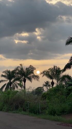 Sunset captured along palm-lined road in Agba Umana, Nigeria
