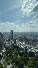 Morning cityscape views captured from Shinjuku high-rise window