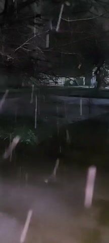 The video shows a dark, rainy night. Rain falls heavily across a paved area with standing water. A small patch of green plants is visible near the edge of the pavement. A leafless tree stands in the background. The camera is positioned low to the ground and may be behind a window.  The heavy rain obscures the view.