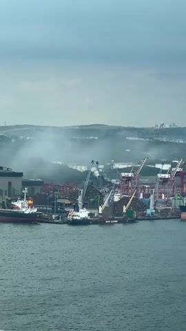 The video shows a port scene with a large body of water in the foreground. Several cargo ships are docked at the pier. Numerous red and white industrial cranes are visible behind the ships. In the background, there is a hilly landscape with a few buildings. There is a haze in the air. The camera pans slightly to the right. The overall lighting is muted due to the overcast sky.