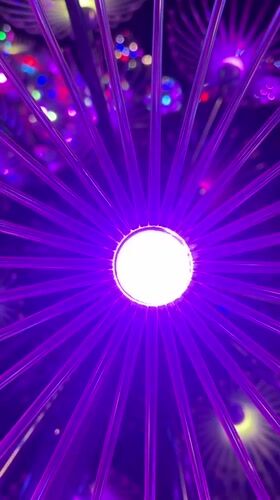 Visitor documents colorful dandelion light sculptures in Krasnodar park