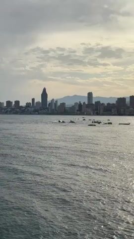 The video shows a wide shot of a body of water with a cityscape in the background. The water is choppy and reflects the cloudy sky. Several jet skis and small boats are scattered across the water. Some people are visible on the jet skis, appearing to be riding or operating them. The cityscape features numerous buildings of varying heights, including skyscrapers, and a mountain range can be seen in the distance behind the city. The overall lighting suggests it is either early morning or late afternoon.