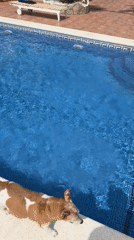 Man repairs pool drainage system in Mont-roig del Camp