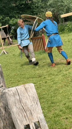 Medieval reenactment with Viking battle demonstrations held in Eindhoven