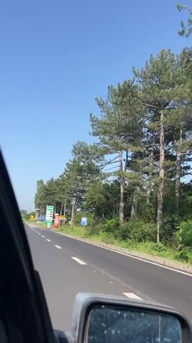 The video captures a sunny daytime view from a moving vehicle, looking towards the roadside from the passenger side window, with the driver's side mirror partially visible in the foreground. The car is traveling on an asphalt road with clear white lane markings.

To the right of the road, a dense line of tall coniferous trees, likely pines, borders the scene, with lush green undergrowth and shrubs. The sky above is clear and blue.

Several objects and signs are visible along the road:
*   A prominent green gas station sign for "DEGA" displays fuel prices (details unreadable).
*   Adjacent to the DEGA sign stands a large, colorful inflatable character, resembling a human figure dressed in red and green attire with a hat, seemingly waving. Text visible on the character includes "ПРИ БАЙ МАН", "Kafema", and "Русе".
*   Further along, a yellow road sign features Cyrillic text, clearly indicating "Ruse" (Русе) and "TIR-TRANZIT" (ТИР-ТРАНЗИТ), suggesting a route for truck traffic towards the city of Ruse.
*   A red circular speed limit sign with "5" indicates a 5 km/h limit, likely for an upcoming turn or junction.
*   A blue road sign for "VIGNETTE / TOLL" is also present, commonly found on European roads requiring a vignette or toll payment.
*   A tall, silver street light stands near the signs.

The setting appears to be a major transit road in Bulgaria, consistent with a route from or through Karnobat, heading towards Ruse. Upbeat music with a female vocalist plays in the background throughout the video.