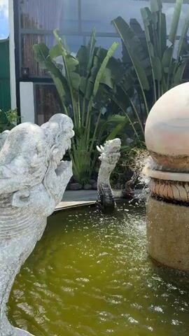 This video captures a tranquil outdoor scene in Tuy An Nam, Vietnam. The central focus is a decorative fountain with a large, spherical element perched atop a cylindrical base, surrounded by lush greenery. The water in the fountain appears murky green, and splashes indicate it's actively functioning.

Two stone dragon heads emerge from the water, one on the left and another further back. The dragon head on the left is larger and more prominently featured, with its mouth open. The dragon head in the background is smaller and angled differently.

Behind the fountain, a dense arrangement of large-leafed tropical plants, resembling bird of paradise flowers, creates a vibrant green backdrop. In the distance, a building with large windows and a reflective surface is visible. The lighting suggests it is daytime, likely sunny, as evidenced by the bright illumination and shadows. The overall atmosphere is serene and exotic, evoking a sense of peace and natural beauty. There is no visible text in the media.