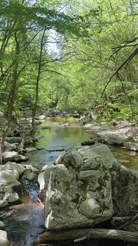 The video shows a forest stream on a sunny day. The stream is surrounded by lush green trees and moss-covered rocks. The water is clear and shallow in most places, flowing over the rocks. A person wearing a green shirt is briefly visible near the stream bank. Further up the stream, a woman wearing a black tank top and black pants walks into view. She is standing on some rocks near a small wooden structure next to a path.