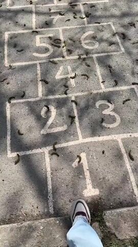 The video captures a first-person perspective of a person's feet moving across an outdoor paved surface in Batoshevo, Bulgaria. The main subject is a hopscotch grid painted in white on grey asphalt. Numbers 1 through 10 are clearly visible within the squares of the grid. The entire surface of the hopscotch game and the surrounding pavement are heavily covered with numerous small, elongated, green and brown organic objects, resembling catkins or similar plant debris.

Bright sunlight illuminates the scene, casting distinct shadows on the ground, suggesting it is daytime. The person is wearing white sneakers with brown accents, visible as they walk. The video starts by showing numbers 2, 3, 4, 5, 6, 7, 8, 9, and 10 of the hopscotch grid. As the person continues to move forward, the camera pans slightly upwards, revealing more of the debris-strewn paved area beyond the number 10 square. The setting appears to be a public outdoor space, possibly a playground or pathway.