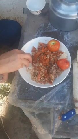 A hand is picking up food from a white plate. The plate contains a mixture of rice, meat, and carrots, topped with two tomatoes. The plate is on a plastic sheet, with a kettle and a small bowl in the background. A piece of flatbread and a knife are visible to the right. The environment appears to be outdoors, with sunlight and a stone wall in the background.