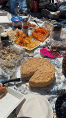 Group enjoys beach picnic on rocky shore in Prijevor, Montenegro
