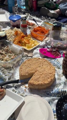 Group enjoys beach picnic on rocky shore in Prijevor, Montenegro