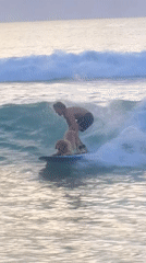 Man and Dog Surf Together on Breaking Wave