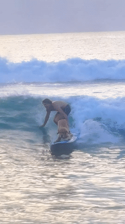Man and Dog Surf Together on Breaking Wave