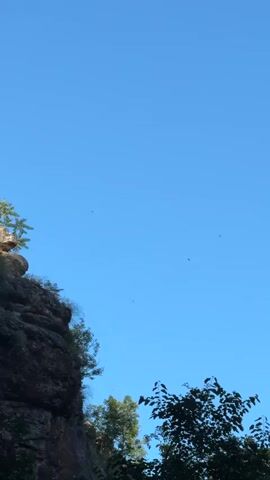 The video shows a bright blue sky with a large rock cliff face on the left side. There are a few trees growing on top of the cliff and some foliage at the bottom of the frame. Several small birds are flying in the sky. The sun is shining, casting shadows on the rocks and trees.
